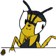 LittleWasp